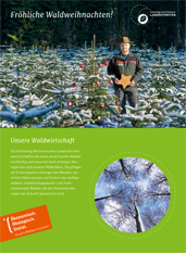 Weihnachtsbaumverkauf