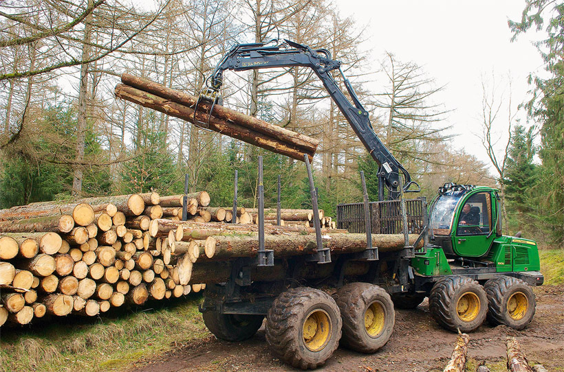 Forwarder in den Wäldern der Schleswig-Holsteinischen Landesforsten