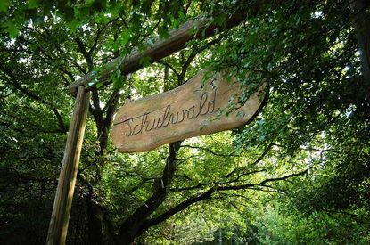 Walderlebnis für Grundschulen