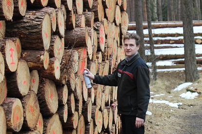 Holzpolter der Försterei Tangstedt