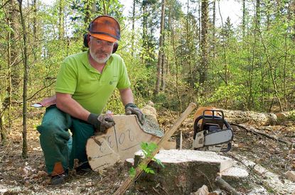 Ausbildung & Karriere bei den Landesforsten