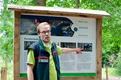 Forst- und Holzinformationspfad