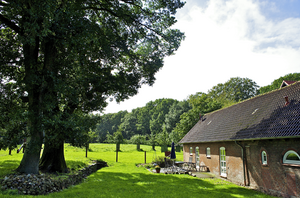 Ferienhaus Glashütte, Haus und Garten, Schleswig-Holsteinische Landesforsten