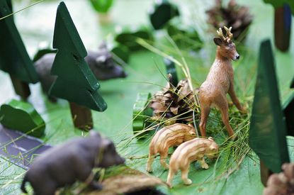 Spielend lernen, Schleswig-Holsteinische Landesforsten