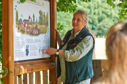 Wald erleben und verstehen